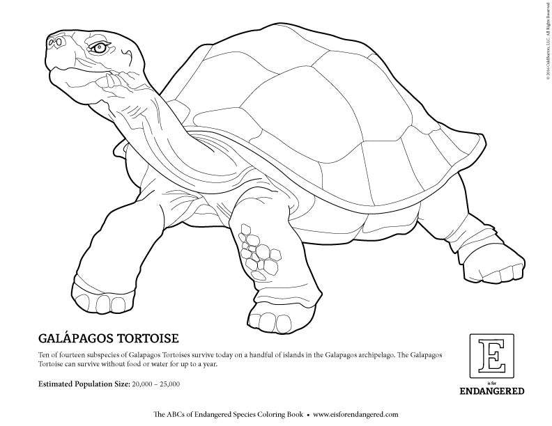 galapagos island coloring pages