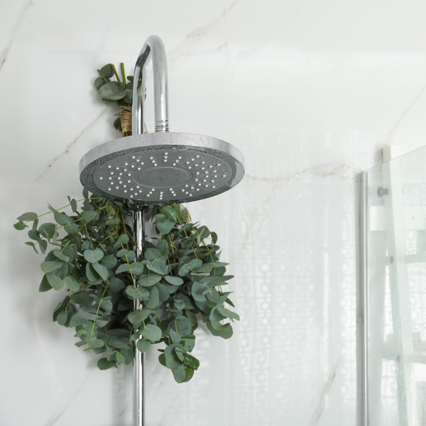 Eucalyptus bouquet tied to shower head