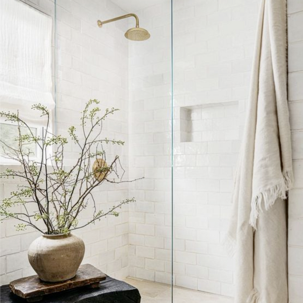 large plant beside glass shower with gold rain fall showerhead