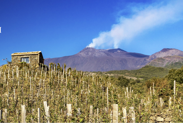 Benanti - Volcanic and Island Wines from Sicily, Italy