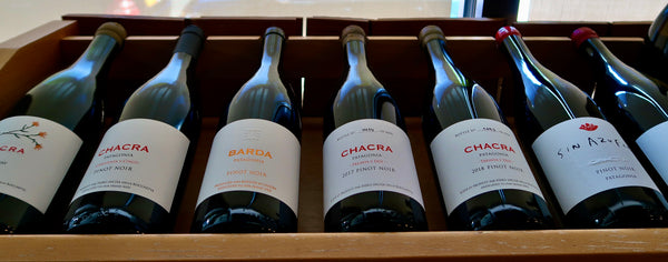 Bodega Chacra Wine - Chardonnay, Malbec and Pinot Noir from Argentina