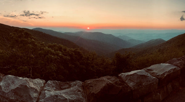 One of One of our favorite national parks is Shenandoah National Park, located in a gorgeous part of Monticello AVA.