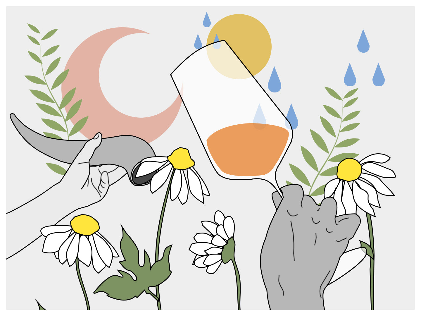 Biodynamic Wine