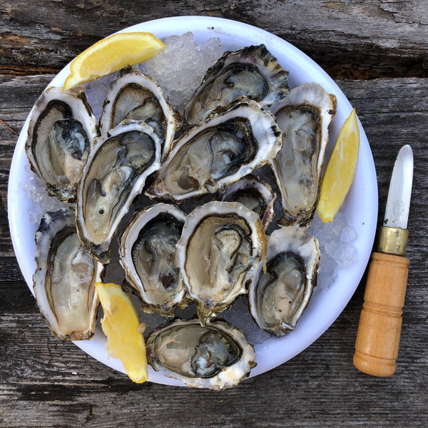 Sommeliers Favorite Oyster Wine Pairings on the Verve Wine Blog