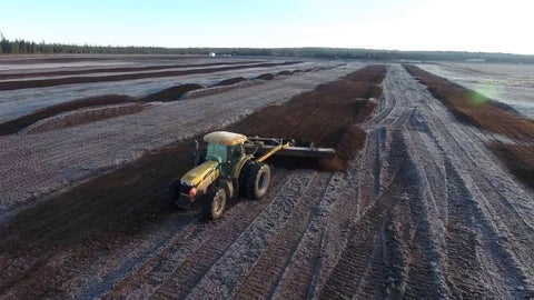 Peat moss harvesting