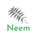 Neem_Small_fe789739-95f7-42c4-81d0-937a637c2300_compact_cropped.jpg?v=1640090066