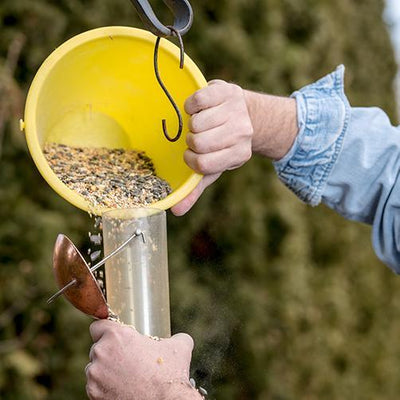 3 Better Ways to Fill Your Bird Feeder