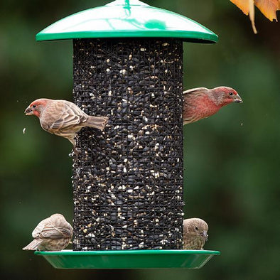 Blue Droll Yankees bird feeder