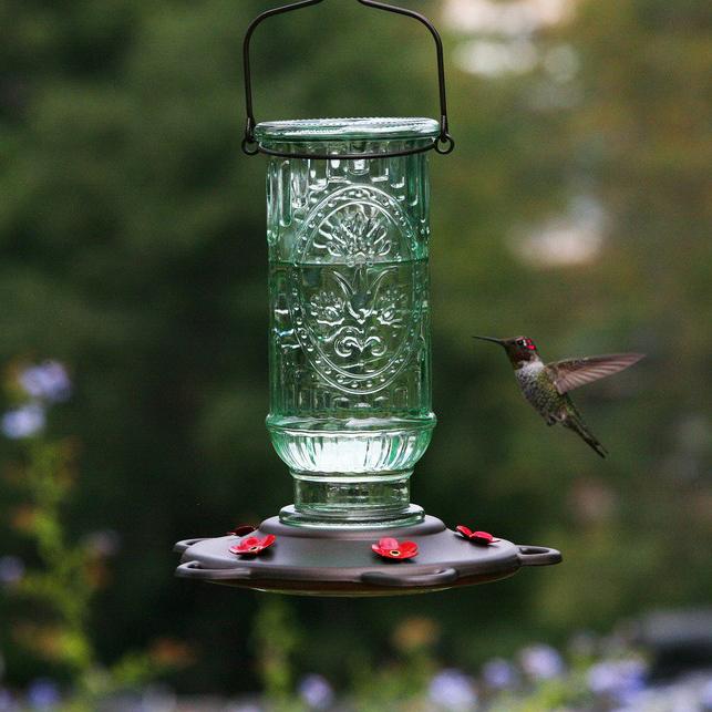 best squirrel proof hummingbird feeder