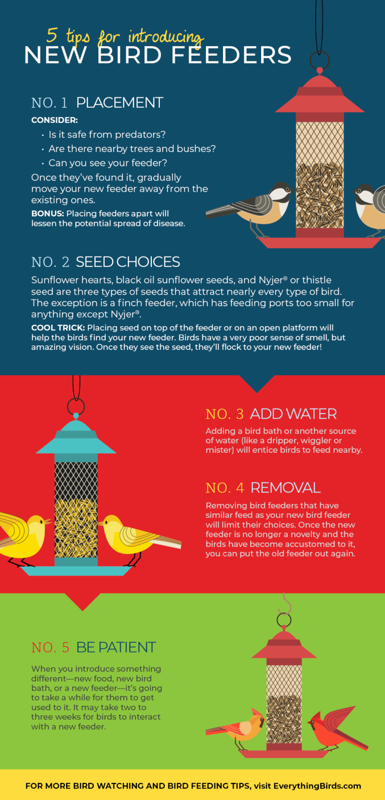 5 Tips For How To Introduce A New Feeder To Your Backyard Birds More Birds