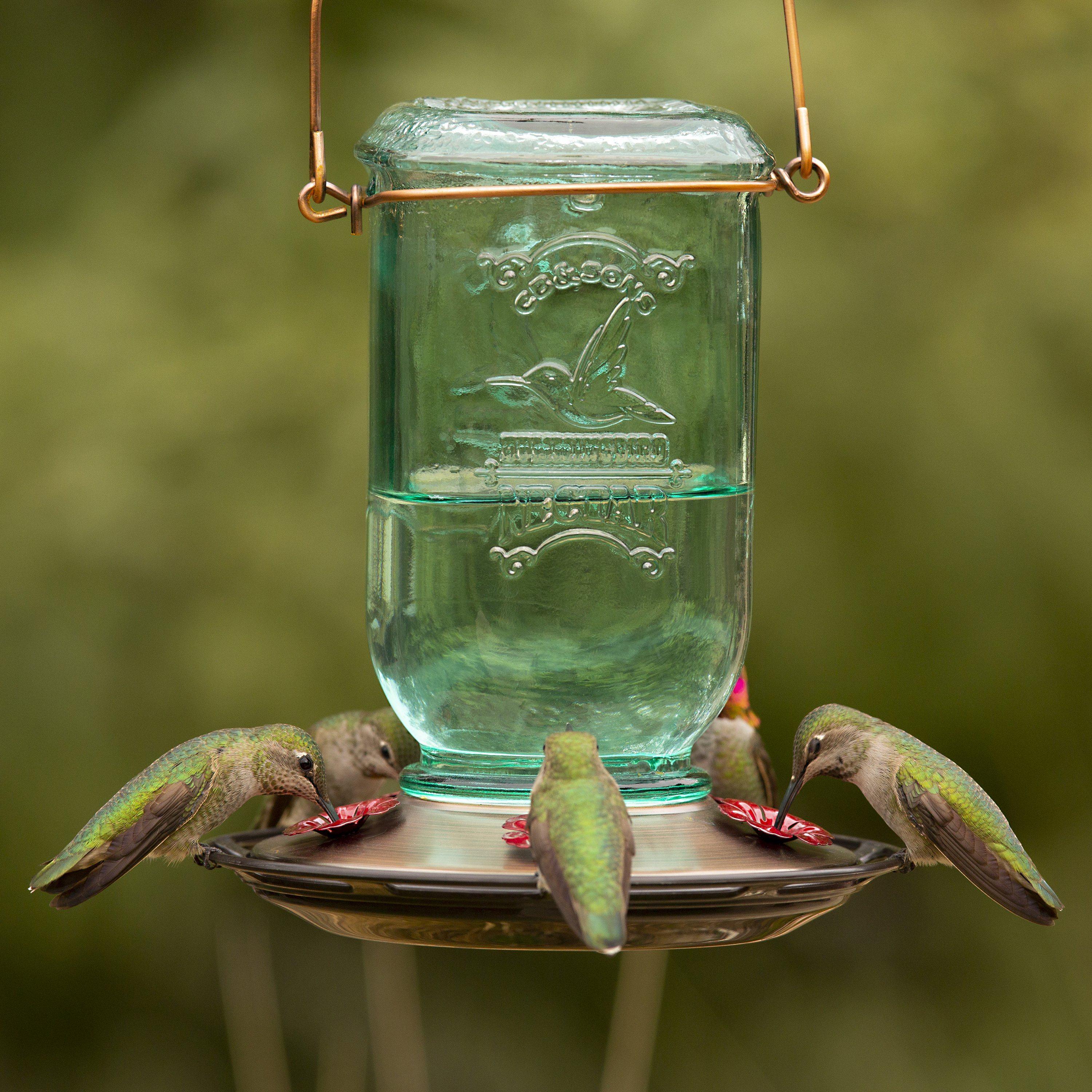 diy hummingbird feeder glass bottle