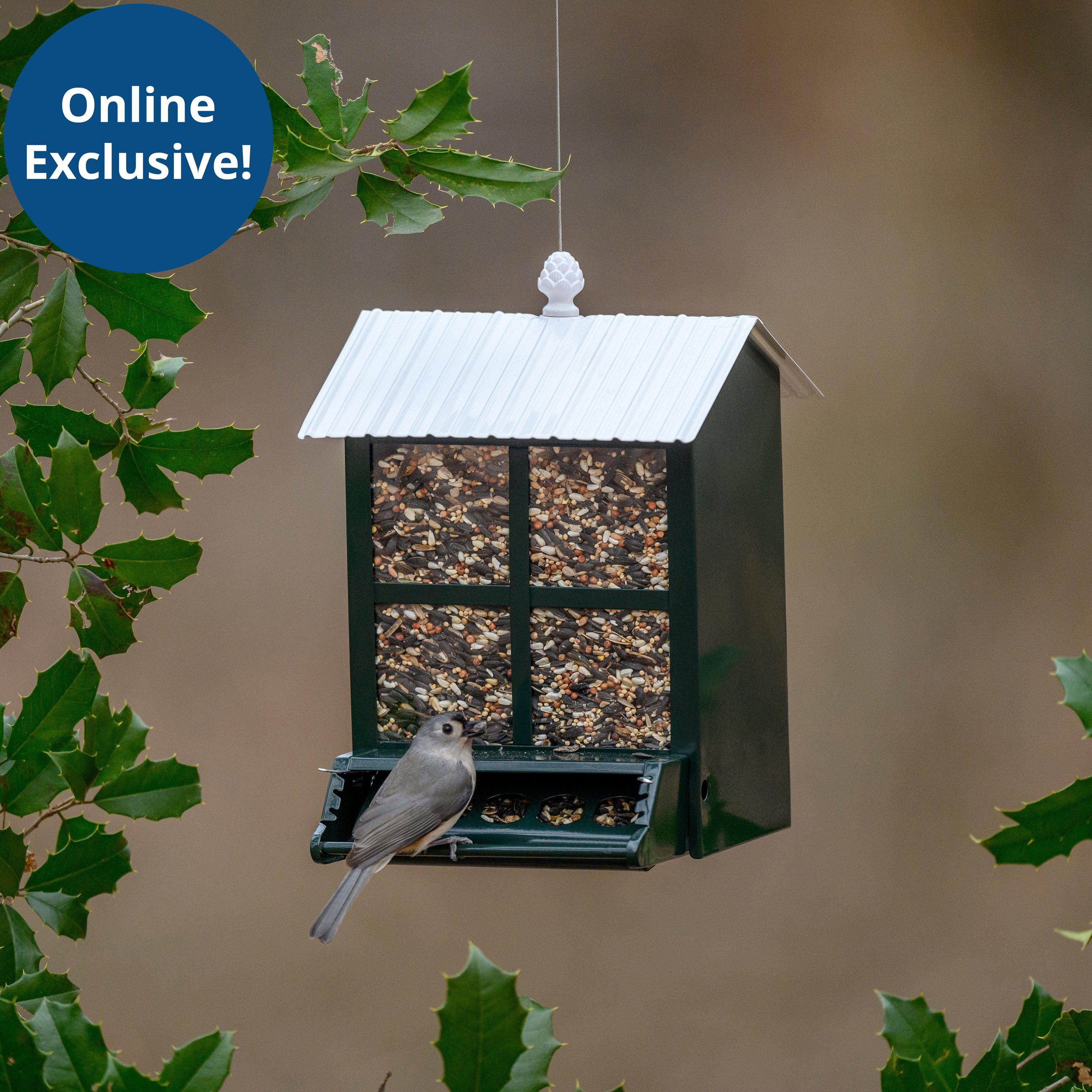 squirrel solutions squirrel proof bird feeder