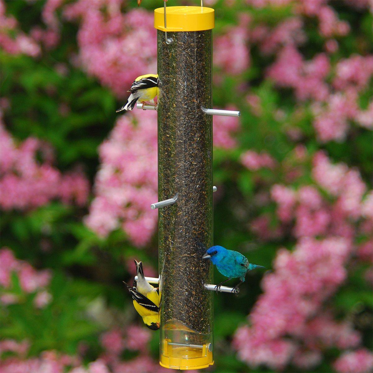 yellow finch feeder