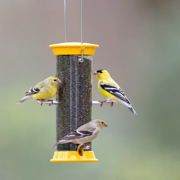 yellow finch feeder