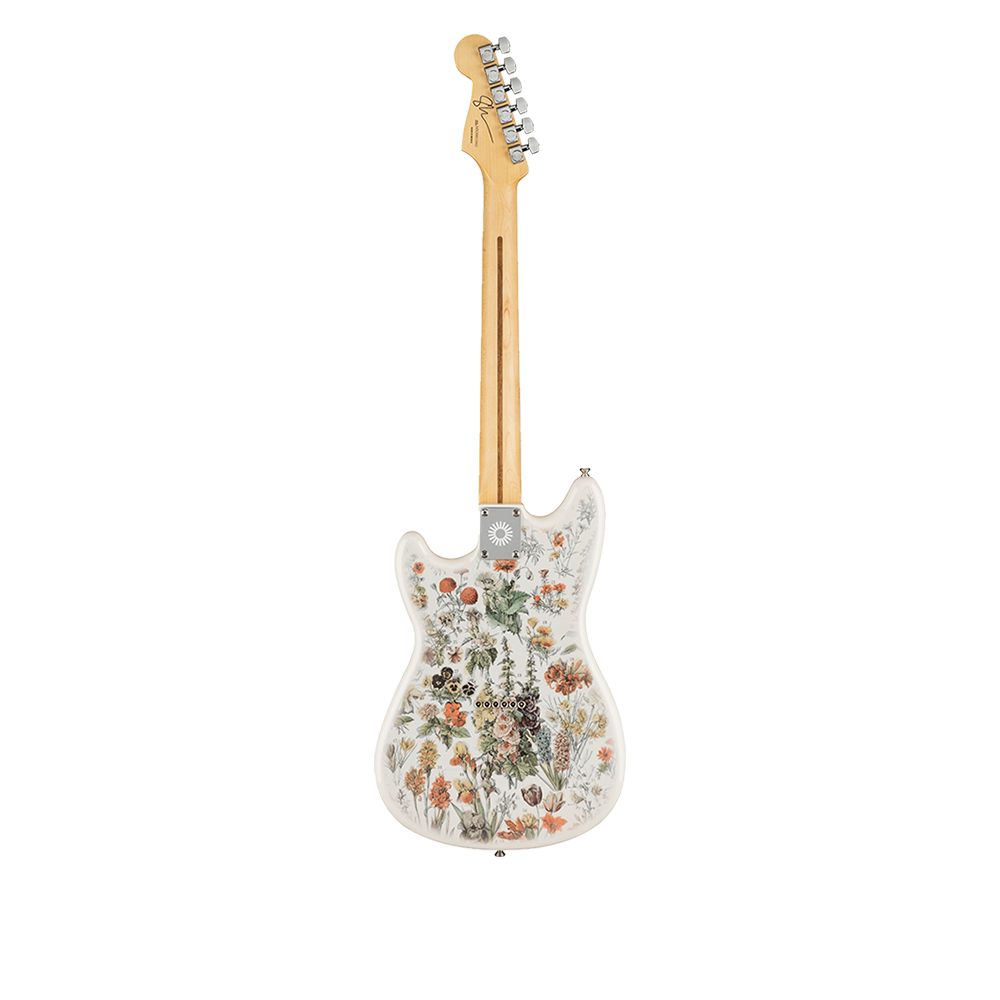 shawn mendes fender