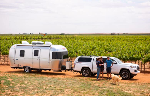 Airstream trailer parked alongside a vineyard