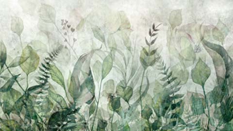Sage Green Wate­rcolor Murals