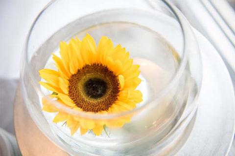 Place Sunflowers in Several Cups