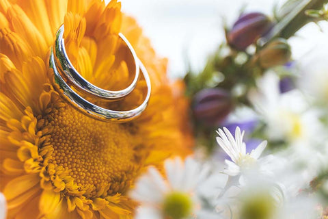 Ring Hanging on Sunflower
