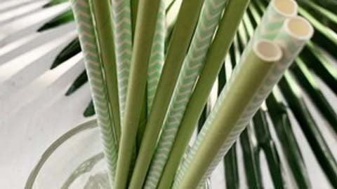 Biodegradable Straws in Sage Color