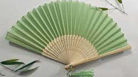 Silk Fans in Sage Gree­n