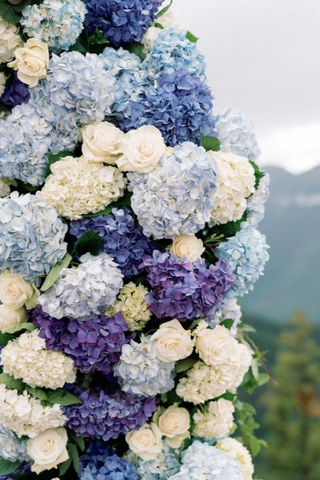 7.Vibrant Hydrangea Arch