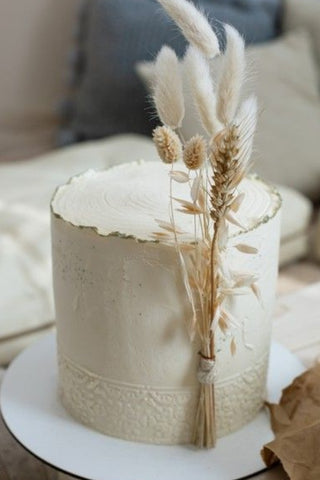7. Simple and Elegant Single-Tier Cake