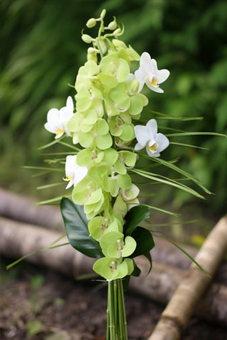 Bamboo and Green Orchid Fusion