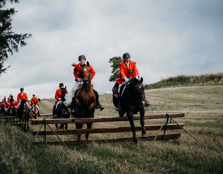 Horseback Riding and Trail Ride