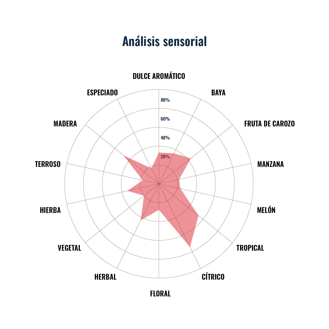lupulo-mosaic-sensorial