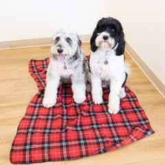 Bulk Case of Pet Blankets, Size Options, Soft Polar Fleece, Checkered Design