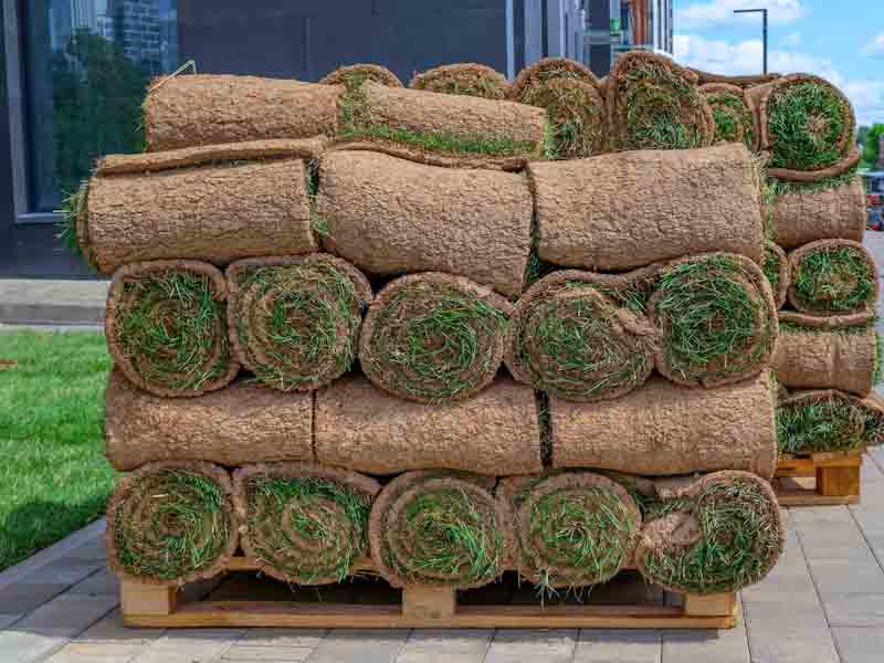 Pallet of Sod