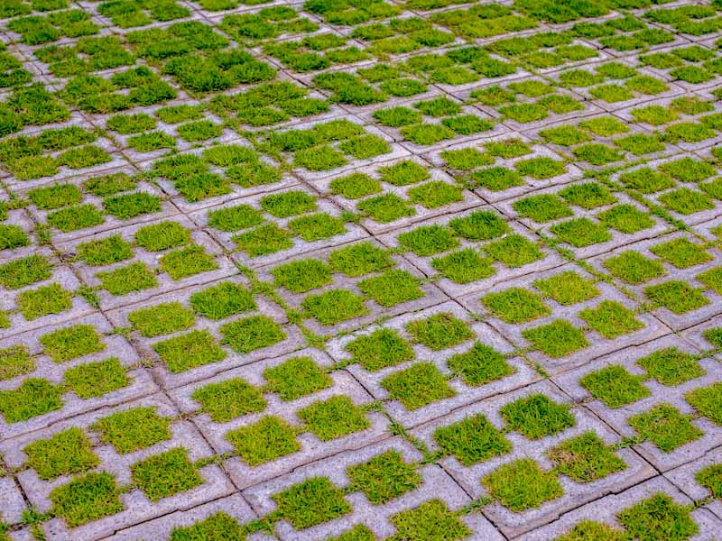 Grass Pavers