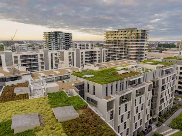 Multiple Green Roofs