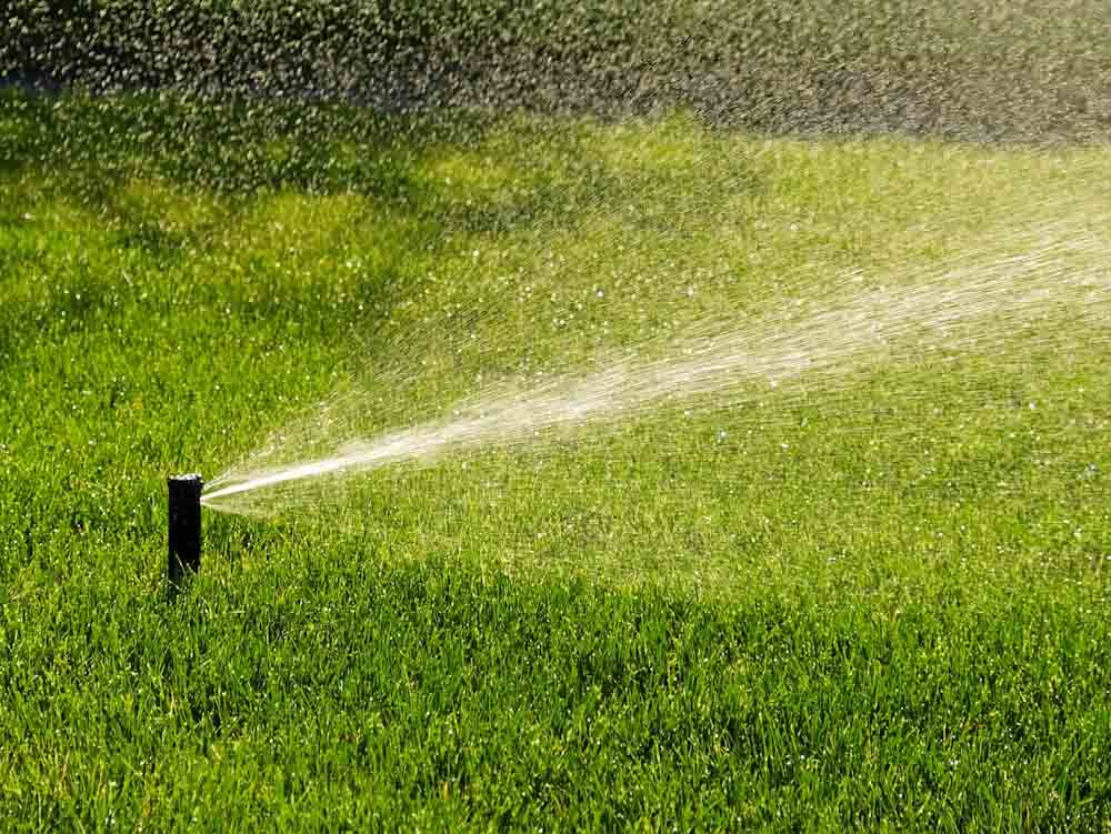 Watering Grass at Golf Course