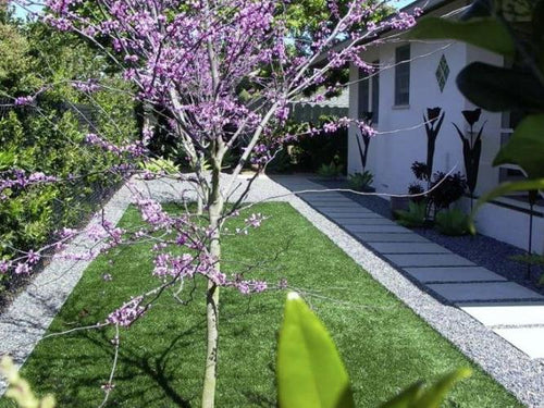 PermaStrip Installed in backyard for long-term separation Permaloc PermaStrip Residential Installation