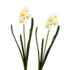 Picture of Viv! Home Luxuries Narcis - zijden bloem - wit geel - 2 stuks - 41cm