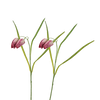 Picture of Viv! Home Luxuries Fritillaria - Kievitsbloem - 2 stuks - zijden bloem - paars - 54cm