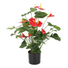 Picture of Viv! Home Luxuries Anthurium plant - kunstplant - groen rood - 78cm