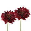 Picture of Viv! Home Luxuries Gerbera - 2 stuks - zijden bloem - donker rood - 54cm