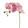 Picture of Viv! Home Luxuries Orchidee Butterfly - kunstbloem - paars groen - 79cm