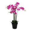Picture of Viv! Home Luxuries Orchidee in pot - zijden bloem - paars - 65cm