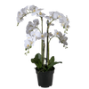 Viv! Home Luxuries Franse Tulp - zijden bloem - lichtgeel - 66cm - Topkwaliteit