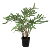 Picture of Viv! Home Luxuries Blauwvaren (Phlebodium) - kunstplant - groen - 80cm