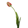 Viv! Home Luxuries Franse Tulp - zijden bloem - rood groen - 66cm - Topkwaliteit - Viv! Home Luxuries