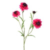 Viv! Home Luxuries Scabiosa - zijden bloem - roze - 80cm - topkwaliteit - Viv! Home Luxuries