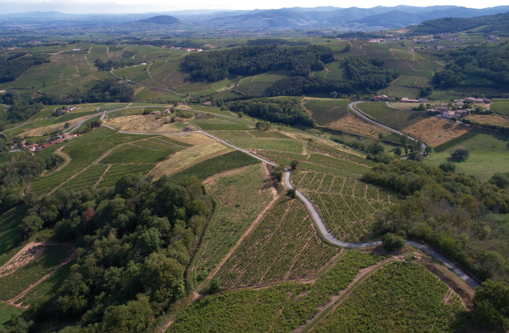 chiroubles vineyard