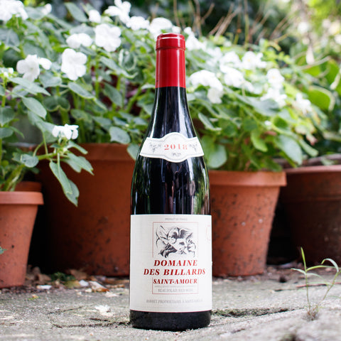 domaine billard saint amour wine