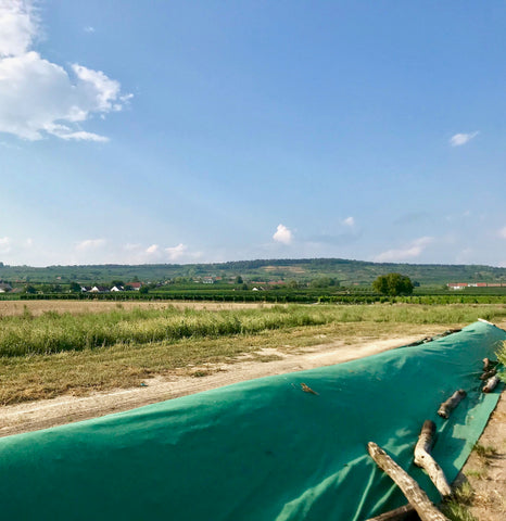 Compost under tarp in biodynamic vineyard in austria