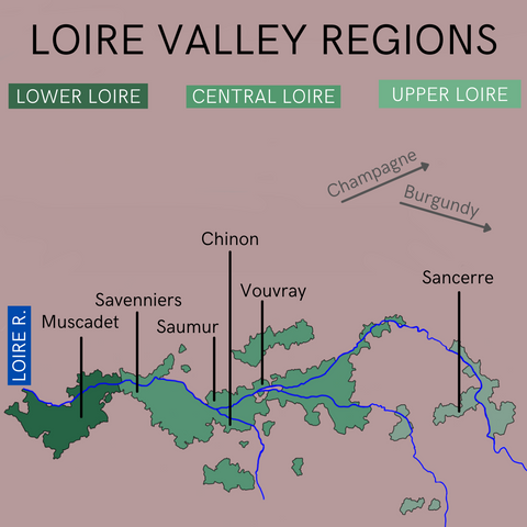 Loire clearance valley wine